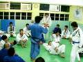 videos de Hong Kong Leg Fans