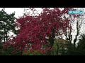 Videoclip Andra First Days Of Spring ft. Directia 5