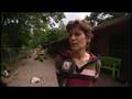Handtekeningenactie voor stichting Dierenthuis