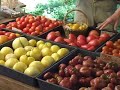 \"Dave Egbert\" The Coastal Gardener Heirloom Tomatoes