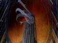 Pink Floyd The Wall Goodbye Blue Sky