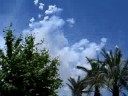 alicante 2008