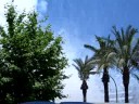 alicante 2008