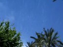 alicante 2008