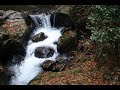 Red leaves ? White water ??????????????.wmv Red leaves ? White water ??????????????.wmv