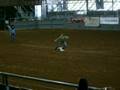 videos de Goat Tying Region 3 rodeo