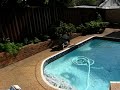 Cleaning The Pool