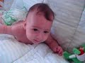 gatinha da titia