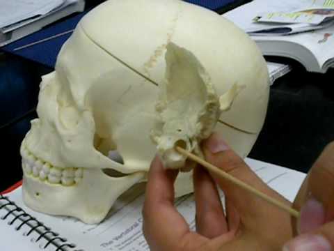 See video