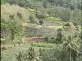 Tahiti Travel Doc  Part 04