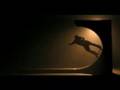DVS - Skate And Create - High Quality
