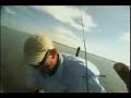 Tampa Fishing by apollobeachsam Tampa Fishing by apollobeachsam