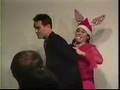 Santa Bunny Live!