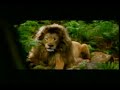 COMERCIAL DO PALIO ADVENTURE LOCKER. MACACO CANTANDO.