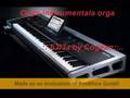 ONYX-INSTRUMENTALA ORGA