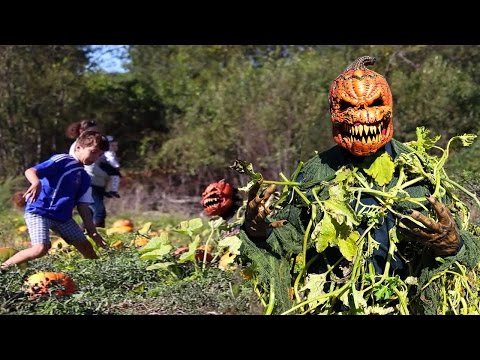 Scary Pumpkin Patch Halloween Prank