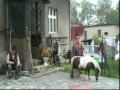 Pie&Aring;�&Aring;� o Reptach "Tutaj jest nasz dom" video