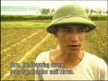 Urban Agriculture clip 2