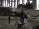 Les �curies de la cigogne �quipe S�nior