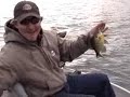 Big Bluegills on spoons