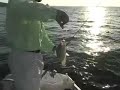 Crappie Fishing on Lake Sam Rayburn Crappie Fishing on Lake Sam Rayburn