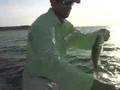 Crappie Fishing on Lake Sam Rayburn