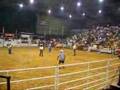 bull fighters