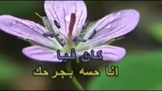 ايهاب توفيق