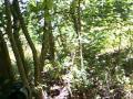 Airsoft 5-20-2012 Second Fight.wmv