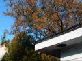 videos de Roof Inspector