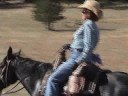 2008 BONANZA CREEK RANCH - GALLOPING UP HILL