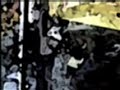 paintmovie
