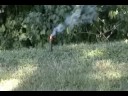 Sparkler bomb montage