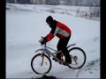 Jackass in Kovjoki