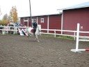 Risto hyppy