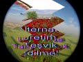 Gönen Tanıtım Araştırma İletişim Bilim Proje ve Rehberlik Merkezi Derneği Filmi