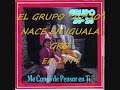 Grupo 20-20 De Guerrero