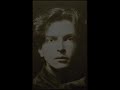sherban lupu -vioara (violin)
valentin gheorghiu -pian (piano)
cristian mandeal -dirijor (conductor)