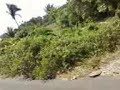 Gordinho nervoso na POP 100cc