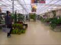 videos de Winkel maniaks