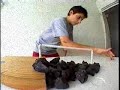 Story of a Fingerboard Artist