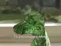Smocza iluzja optyczna