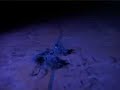Death to the Dust Bunny (D�d Over Hybelkaninen)