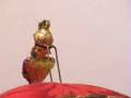 videos de moro7.wmv