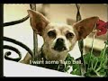 Yo Quiero Taco Bell