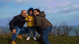 The bee attack and the dolphins in Devon UK