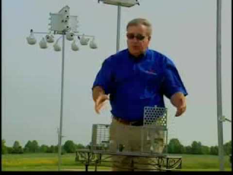 how to attract purple martins in nj