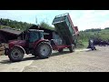 Ensilage d'her...