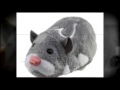 ZhuZhuPets Deemed Safe