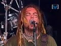 Soulfly